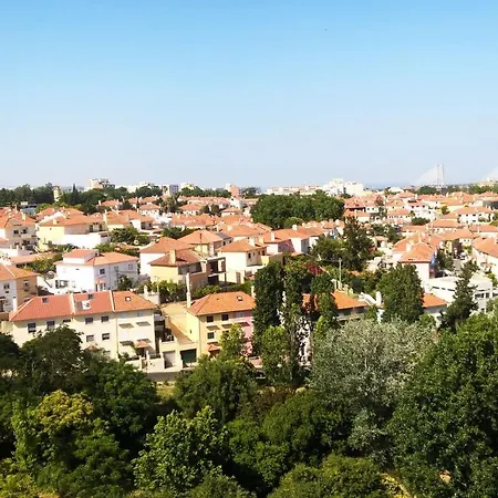 Pantanal * Lisbon